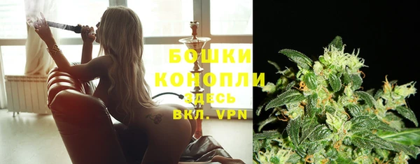 круглые Гусев