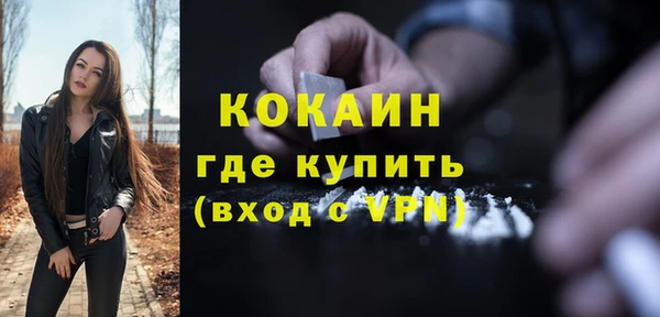 круглые Гусев