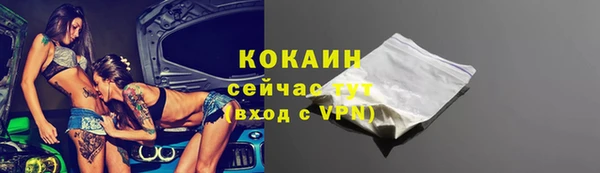круглые Гусев