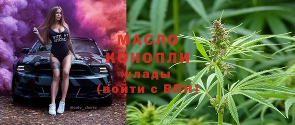круглые Гусев