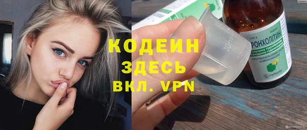 круглые Гусев