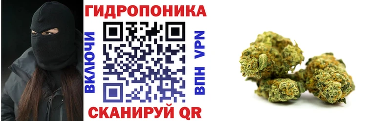 МАРИХУАНА план  Купить закладки  Красноярск 
